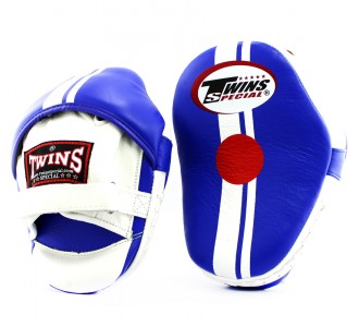 Боксерские ударные лапы Twins Special (PML-14 blue/white)